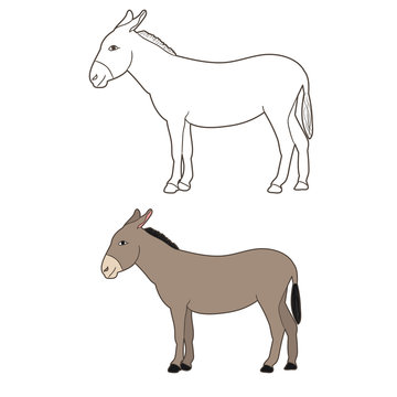  isolated donkey drawing