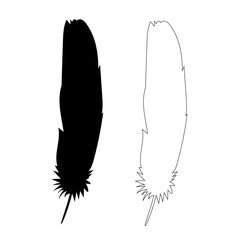  isolated black silhouette bird feather, outline