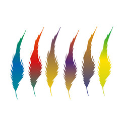 vector isolated silhouette bird feather,