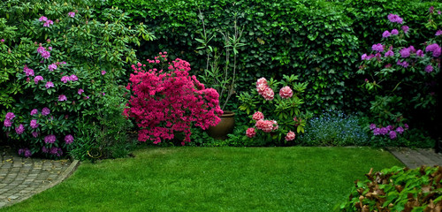 Gartenfreuden im Frühling