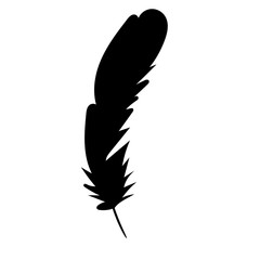 silhouette of bird feathers, one