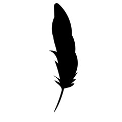 isolated silhouette of bird feathers