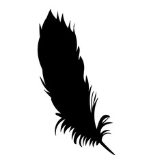 vector, isolated silhouette of bird feathers