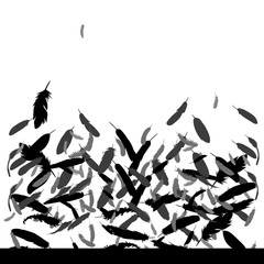 background with silhouette of bird feather
