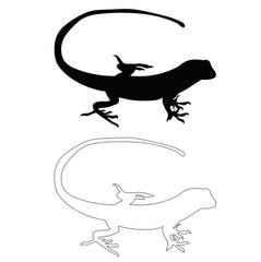 isolated silhouette of the lizard