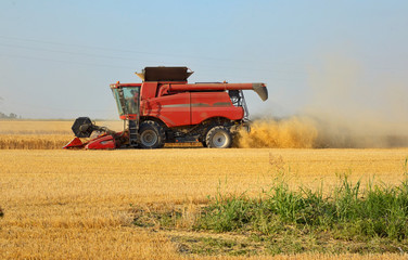 Obraz premium Harvesting combine in a field