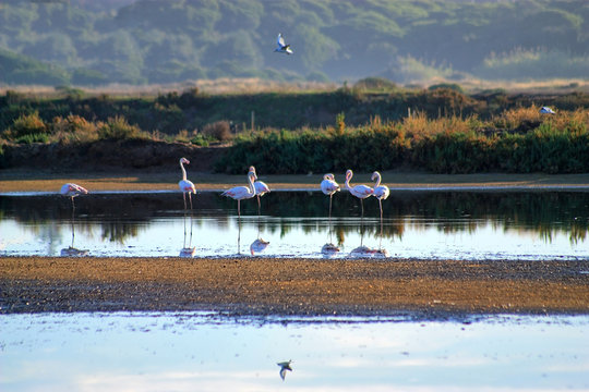 Ria Formosa, Algarve, Portugal