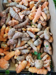 Fresh turmeric root sold at market