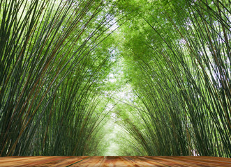 Background and texture of beautiful in nature