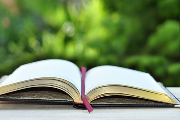 book with open empty golden pages on the table over green nature background outdoor