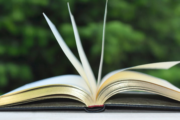 book with open empty golden pages on the table over green nature background outdoor