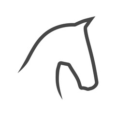 Vector image of an horse on white background