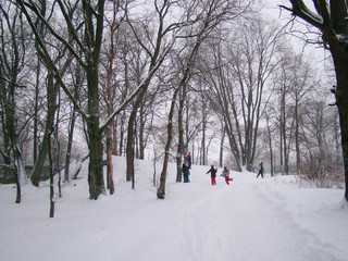 Skiing children in winter - 212071189