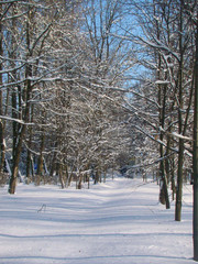 Winter park landscape - 212071358