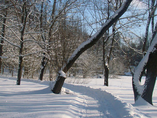 Winter park landscape - 212071375