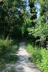 Path along the Isère river in Grenoble, France