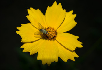 landscape on the water during sunset