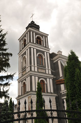 Fototapeta na wymiar Römisch-katholische St. Dukla-Kirche in Shytomyr, ukraine