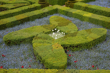 The famous gardens at the Chateau of Villandry in the Indre et Loire region of the Loire Valley,...