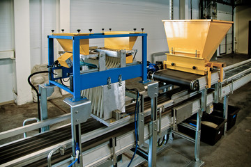Automatic filling and seeding line for growing containerized seedlings of decorative plants in...