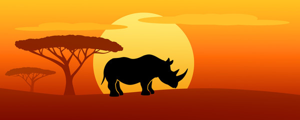 Naklejka premium rhinot silhouette at sunset