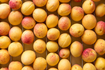 fresh ripe apricots top view