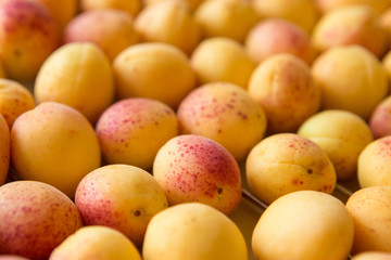 fresh ripe apricots top view