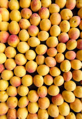 fresh ripe apricots top view