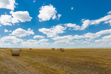Fototapeta na wymiar Field after harvest, Big round bales of straw 