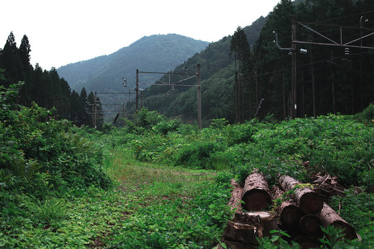 Green feald and mountains