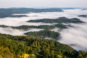 Obraz premium Morning Fog and Mountains