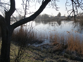Spring landscape with a river, trees.