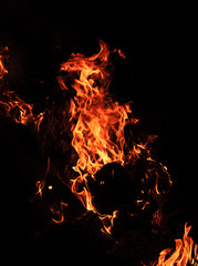 Fire flames on a black background