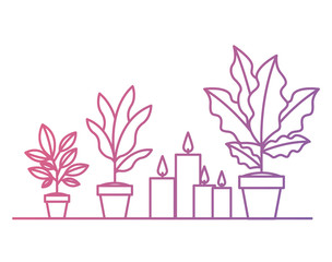 shelf with houseplants scene vector illustration design