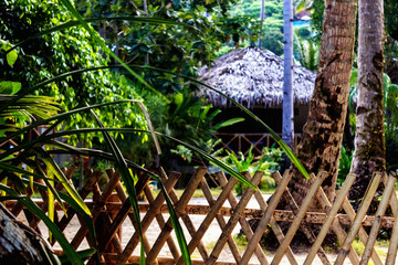 A bamboo fence behind which is seen a hut under palm trees.