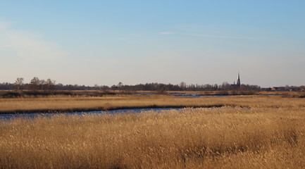 De rietlanden bij nieuwkoop