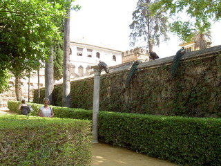 Alcazar de Séville, Espagne