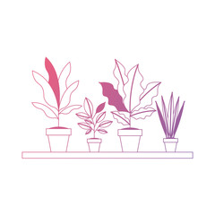 shelf with houseplants scene vector illustration design