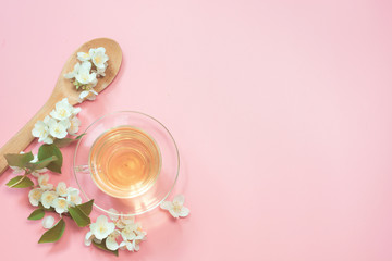 Jasmine flowers and cup of green tea on pink. Top view and concept.