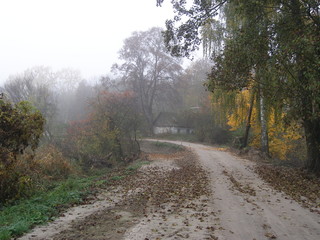 Autumn landscape with trees, the road in the village. Fog.