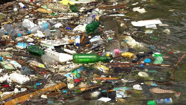 Rubbish and bottles over the sea shows the sea pollution