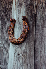 Horseshoe. Rusty texture horseshoe in beautiful light. The natural environment. Horseshoe for horses