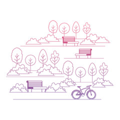 park with chair and bicycle scene vector illustration design