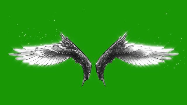 Фото крыльев на зеленом фоне Angel Wings And Halo Icon Изображения: просматривайте стоковые фотографии, векто