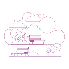 park with chairs scene vector illustration design