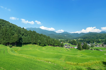 新潟県三条市北五百川の棚田は粟ヶ岳の裾野に位置し、日本の棚田100選に選ばれている。	