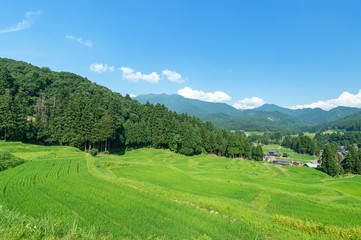 新潟県三条市北五百川の棚田