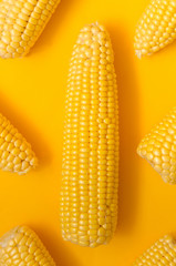 Bright ripe yellow corn on a yellow background in the style of pop art.