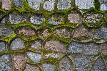 Background of stones and moss
