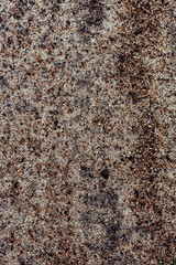 Texture of dirty sand. Sand on the street. The usual sand. The natural environment